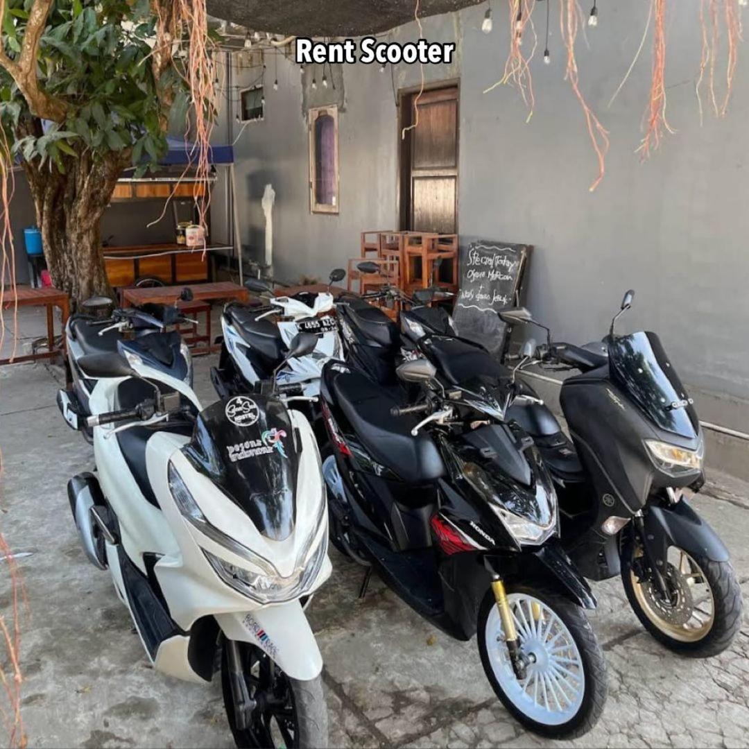 Loyal Friend Hostel Karimunjawa Kültér fotó